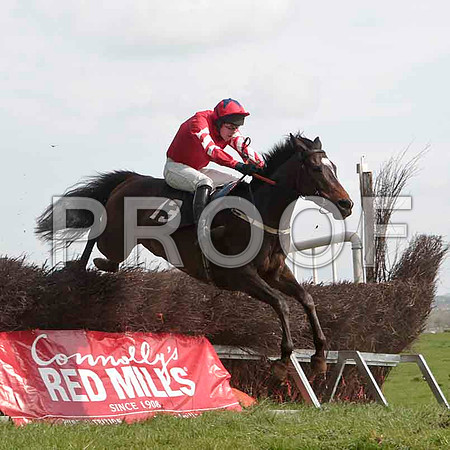 Traad Bay , 4th, Jockey - W Thompson -CU2D4596-e