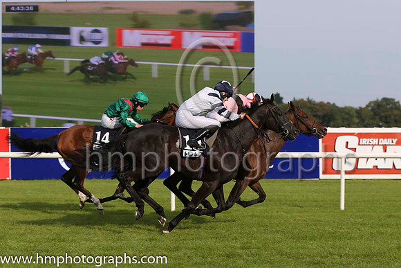 03 Silwana and L F Roche - - 03rd (14 ,green, red epaulettes ) Trainer - D K Weld 02 Cassells Rock and S Corby - - 02nd (10 ,white, dark blue epaulettes ) Trainer - A J Martin