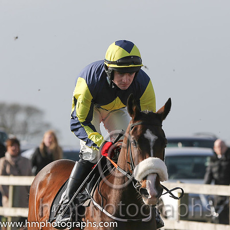 10 The Scourge and K C Sexton - - 10th (11 ,dark blue, yellow diamonds ) Trainer - G Elliott