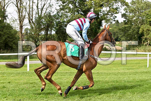 Time Machine 4th, Jockey A E Lynch - FT8E2917-e