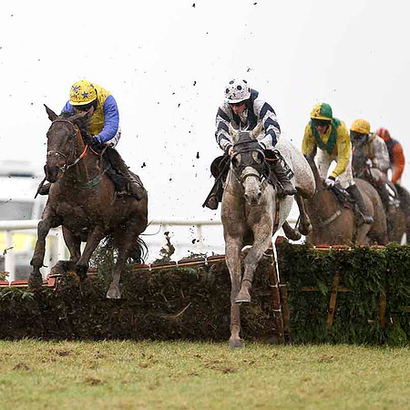 Ferry Point 12th, Jockey B Geraghty & Lasquini Du Moulin 11th, Jockey S W Flanagan - CU2D3237-e
