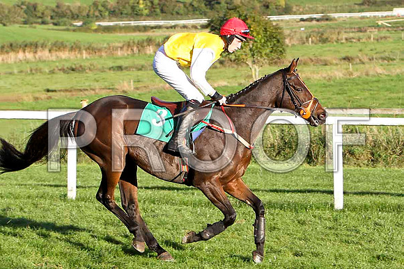 Golden Grimshaw , JOckey E J O'Connell - Fell - CU2D9417-e