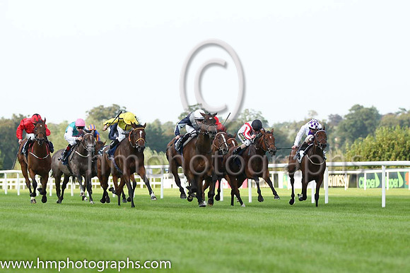 05 Wee Jean and J Fanning - - 05th (10 ,white, red braces ) Trainer - M R Channon