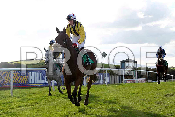 Nally Dancer , Jockey K M Donoghue - 10th - FT8E4400-e