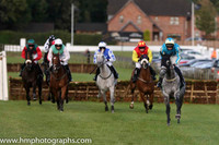 2014/08/29th - Race 3 Musgrave Retail Partners Race Day at Down Royal
