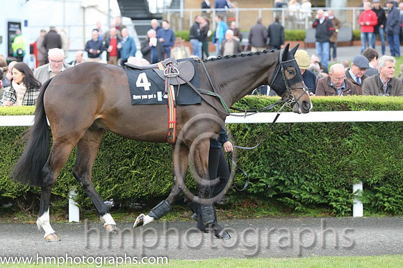 02 Atctic Fire and R Walsh - - 02nd (4 ,purple, orange seams ) Trainer - W P Mullins