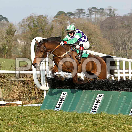 Lookoutnow - 2nd , Jockey R C Colgan -FT8E0470-e