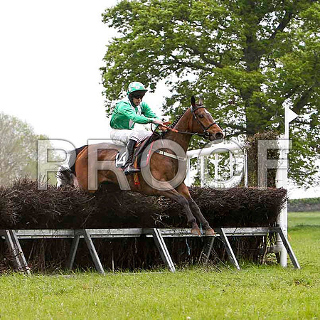 Little Luv , 6th, Jockey - M J O'Hare - FT8E2603-e