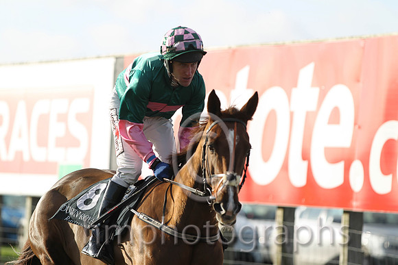 01 Gambling Girl & R M Power - winner (8,dark green, pink hoop ) - FT8E9958