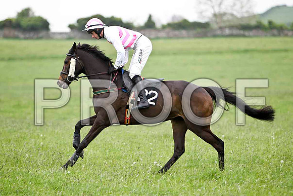 On the Arthur , 5th, Jockey - Derek O'Connor FT8E2398-e