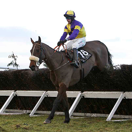 Space Academy 10th, Jockey R Loughran - FT8E9983-e