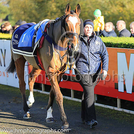 PU Don Poli and B J Geraghty ( 1 , maroon , white star, maroon cap ) Trainer - G Elliott , Owner - Gigginstown House Stud