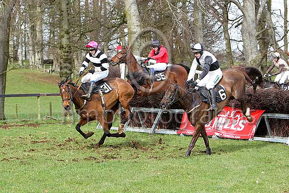 Third Race - Oh Jakers (31) , Trust Ben (35) , Ballycassel (6), Finner Express (24) - CU2D7092-e