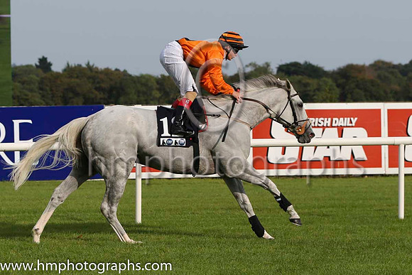 15 Dalasiri and R P Downey - - 15th (12 ,orange, black panel ) Trainer - Miss S J Harty