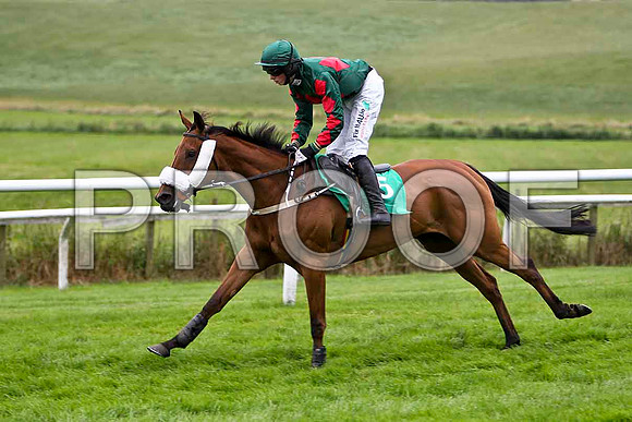 Katcarhue 13th.  Jockey C O'Farrell - CU2D0941-e