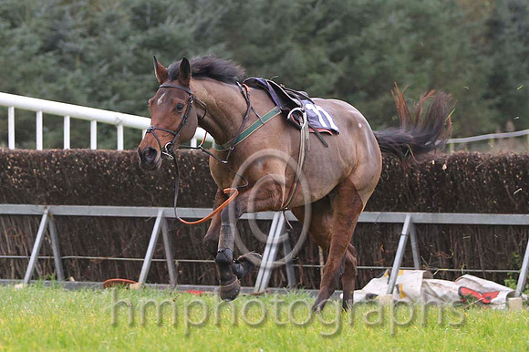 08 MerryWesterner & J P Mckeown - 8th (11, emerald green, yellow star ) - FT8E0585-27