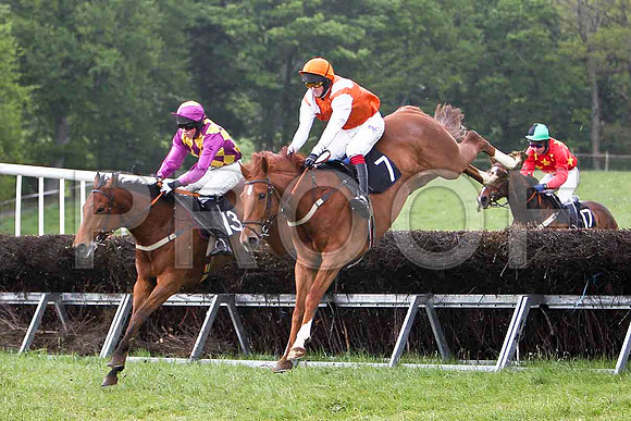 Mulligan's Man , Fell, Jockey - D L Queally & Glenwood Present , Winner, Jockey C Cully -FT8E2287-e