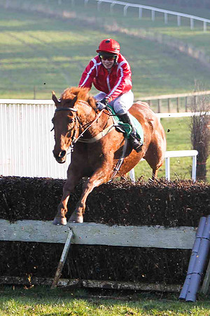 Jamadiel 7th, Jockey Mr J J Slevin - FT8E0526-e