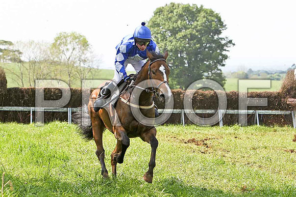 Third Race - Kilbray Lad (6) PU, Rider P W Bartlett - CU2D9584-e