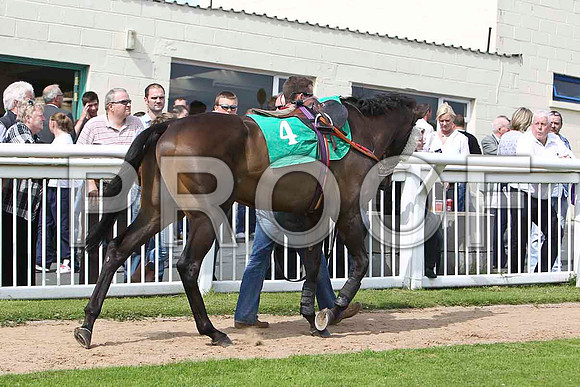 Kai Li 9th, Jockey T J Doyle - CU2D1653-e