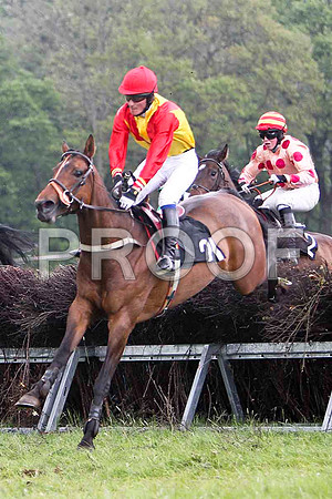 Pilgrams Run , UR, Jockey G Yemm & Miss Katelyn , 2nd, Jockey D L Queally - FT8E2584-e3