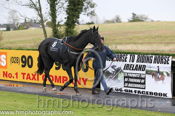 02 Kilcommon Pride & M Darcy - 2nd (8, emerald green , red star) - FT8E0423-1