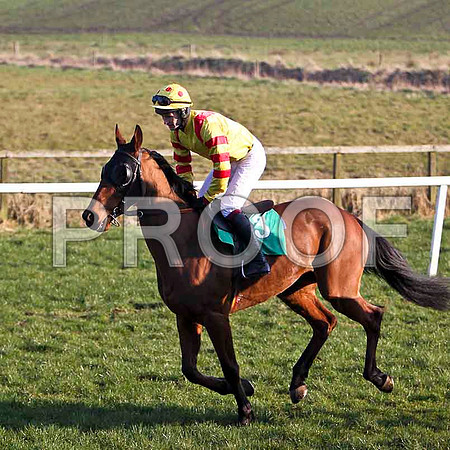 Ballyvoneen - Fell, Jockey Mr R P Quinlan - FT8E0567-e