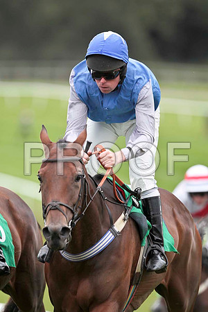 Dear Bach - PU , Jockey B M Cash - CU2D9470-e