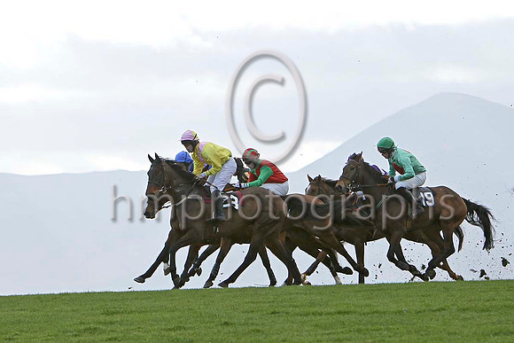 Lord Baltimore (23) & D J Foster - 7th ,  Gee Enne Two (19) & P J Flood - 4th - FT8E9264-e