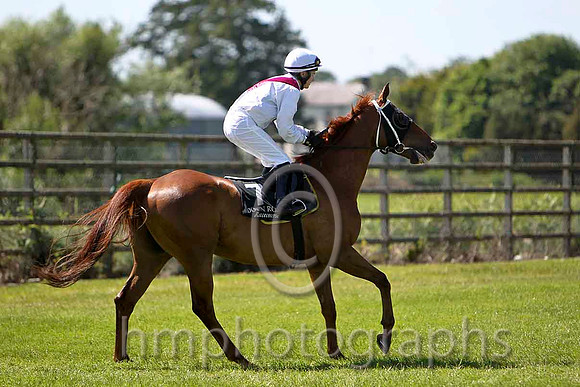 Option Be 2nd, Jockey D J Moran - CU2D0224-e
