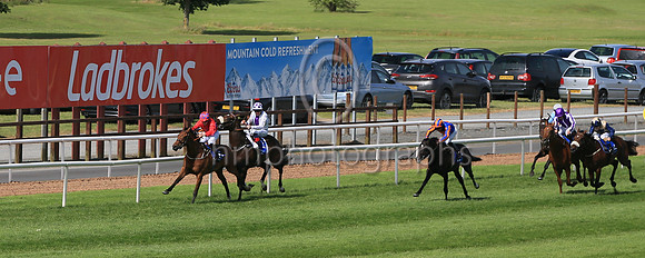 03rd Manu Et Corde (1 white, purple panel ) Jockey: Kevin Manning , Trainer: J S Bolger