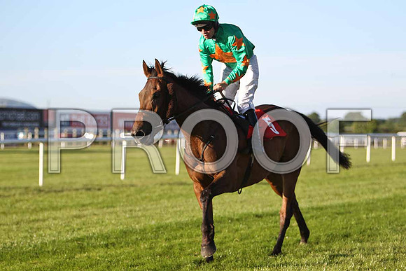 Baily View PU, Jockey R C Colgan- CU2D0181-e