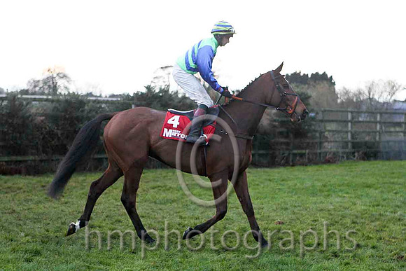 Luddsdenene , Jockey D J Bates - 4th - FT8E4917-e