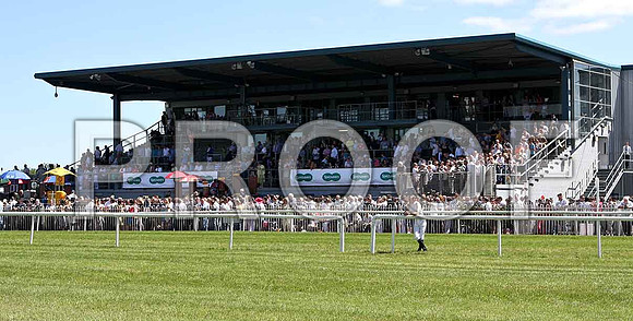 The Grandstand- IMG_0364-e