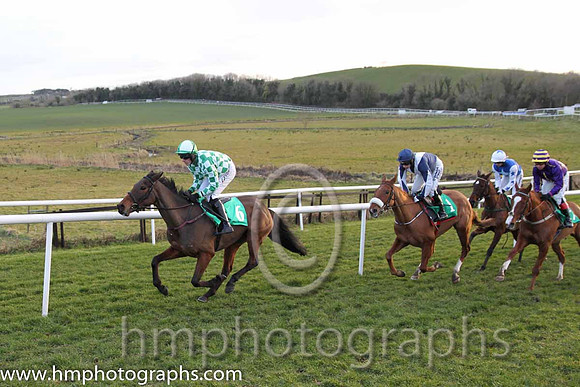 04 Rathvilly Grand &amp; M. Fahey (3) - Trainer: Miss Tara Lee Cogan - Owner: Thomas A. Nolan ( green and white check )