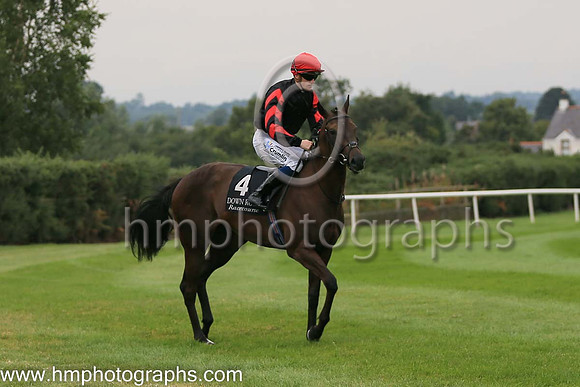 01st Ocean Jewel (4 , black ) Jockey: W J Lee , Trainer: W McCreery