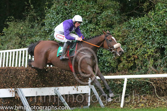 01 Luddsdenene and D N Russell - - 01st (2 ,Purple and white quarters ) Trainer - G Elliott