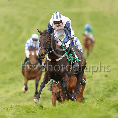01st MOLLYKING and M J O'Hare ( 11 , PINK; blue sleeves; pink  blue striped cap ) Trainer: J.G. Cosgrave , Owner : Racing Carnglave
