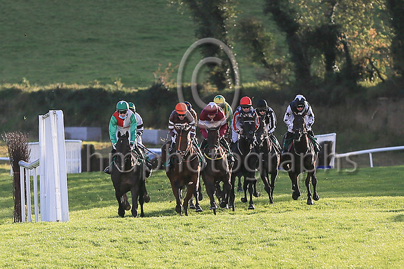01st Flanking Maneuver and Mr F Maguire ( 2 , maroon, white star ) Trainer - N Meade , Owner - Gigginstown House Stud