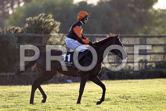 Lock Breaker 9th, Jockey S Clements- FT8E1163-e