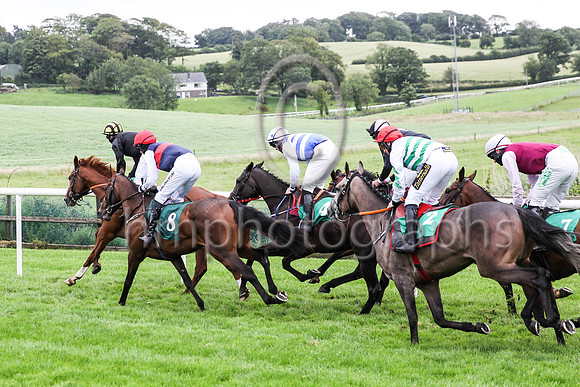 01st Curlew Hiland Mr J J Codd ( 2 , white, green chevrons ) Trainer - G Elliott , Owner - Noel Moran  Mrs Valerie Moran