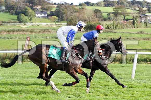 Market Watcher (8) Jockey C J Bailey - 5th & Raise the Goblet , Jockey A P Crowe - 8th - FT8E4426-e