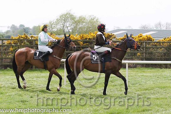 04 Guiding George & B M Cash - 4th (1, light green, white sleeves) & 01 The Housekeeper & S W Flanagan - winners (5,brown, white sash )FT8E6047-4
