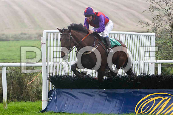 Cilliseal 8th, Jockey D R Fox -FT8E5244-e