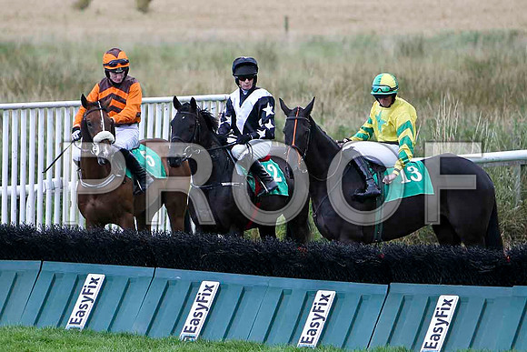 Novarov - 9th, Inch Rebel - 11th & Hidden Profit - 10th - FT8E3941-e