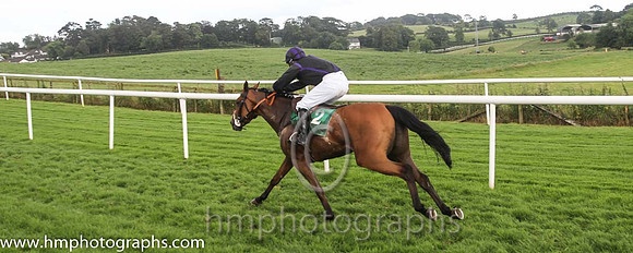 03 Indian whiskey & Mr A D Doyle - 3rd (2, black mauve seams )FT8E0032