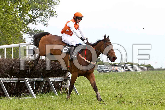 Borehovel Banker , Unplaced, Jockey A J DoyleFT8E2527-e