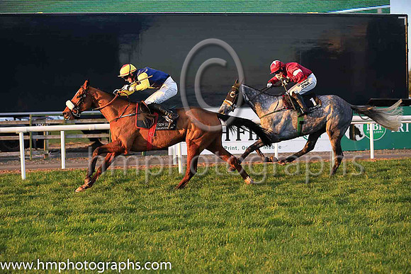 01st Runfordave and Mr L J McGuinness ( 6 , dark blue, yellow diamond ) Trainer - G Elliott , Owner - Mrs P Sloan