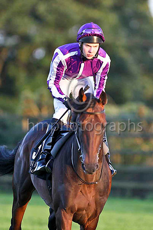 Chicago & J O'Brien - Winner (5, purple, white seams) - CU2D3515-e