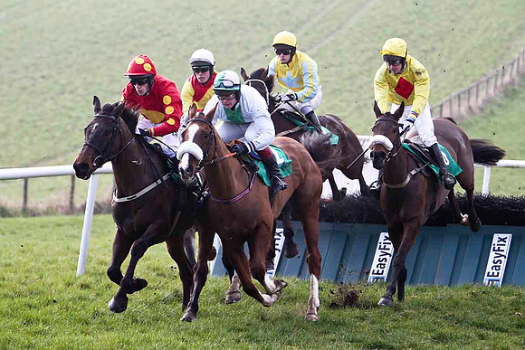 Shantalla - 7th , Ounaja - 5th,  Couleur de La Loi - 8th , Mister Jim Jim 9th &  - Killegney  - 6th - FT8E0421-e